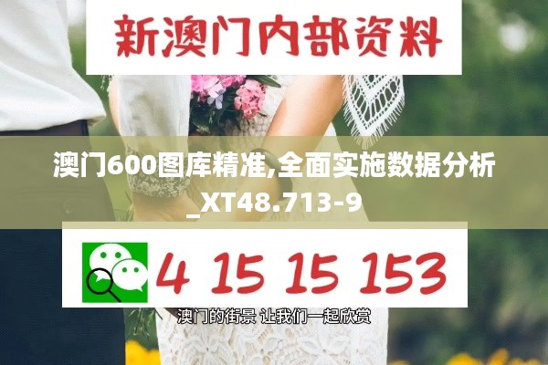 澳门600图库精准,全面实施数据分析_XT48.713-9