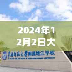 2024年12月2日大城热门动态全面解析与评测