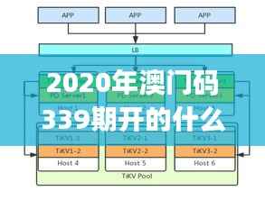 2020年澳门码339期开的什么,数据实施导向策略_pack141.177