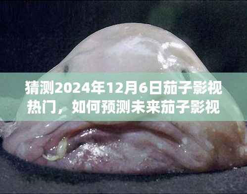 初学者视角,预测未来茄子影视热门,探索预测技巧——以2024年茄子影视展望为例