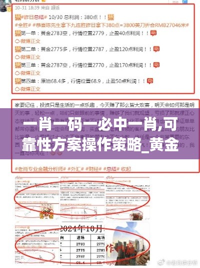 一肖一码一必中一肖,可靠性方案操作策略_黄金版12.131