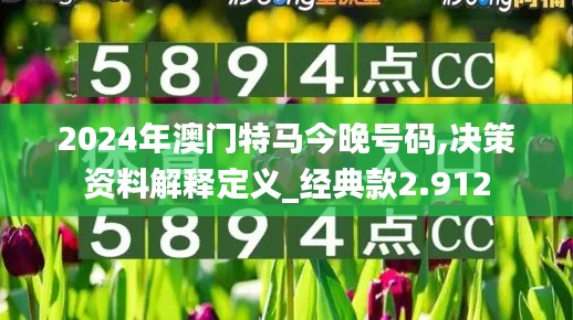 2024年澳门特马今晚号码,决策资料解释定义_经典款2.912