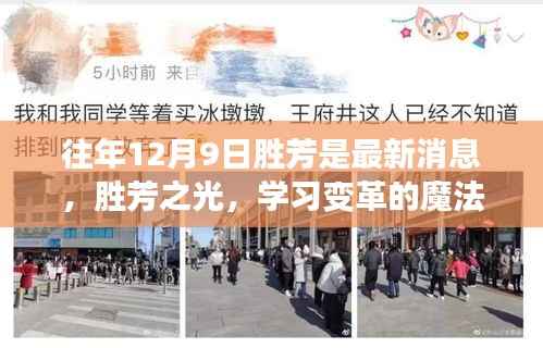 物稀为贵 第5页