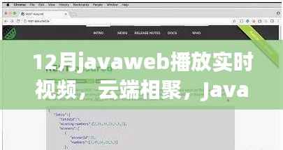 12月javaweb播放实时视频，云端相聚，JavaWeb上的温情视频时光