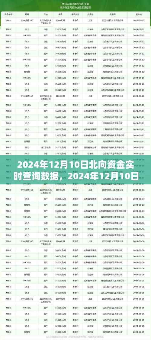 2024年12月10日北向资金实时查询数据解析及洞察