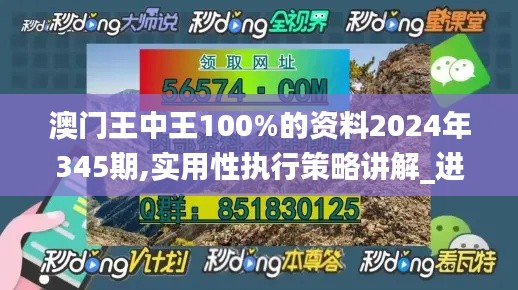 澳门王中王100%的资料2024年345期,实用性执行策略讲解_进阶版18.695