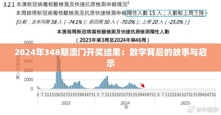 2024年348期澳门开奖结果:数字背后的故事与启示