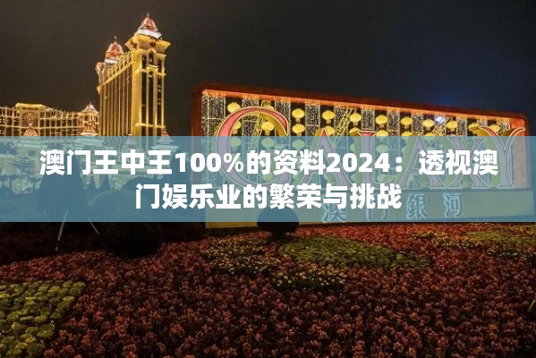 澳门王中王100%的资料2024：透视澳门娱乐业的繁荣与挑战