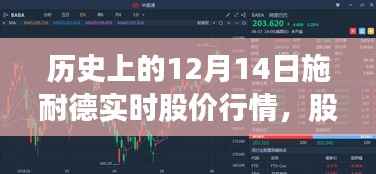 施耐德股价行情回顾,历史12月14日的股市风云与难忘记忆