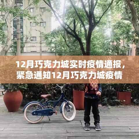 12月巧克力城疫情实时通报,最新动态及紧急通知