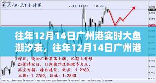 往年12月14日广州港潮汐表深度解析,大鱼潮汐实时数据与介绍