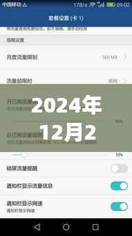 网银实时到账功能能否持续至2024年?