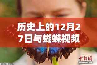 历史上的12月27日与蝴蝶视频热门事件回顾