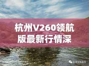 杭州V260领航版最新行情深度解析