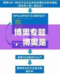 博奥专题,博奥是做什么的