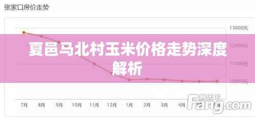 夏邑马北村玉米价格走势深度解析