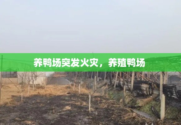 眉清目秀 第3页