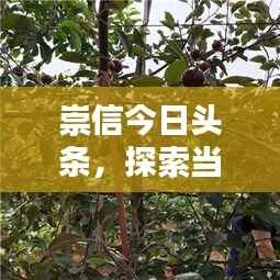 崇信今日头条,探索当地最新动态与热点资讯!