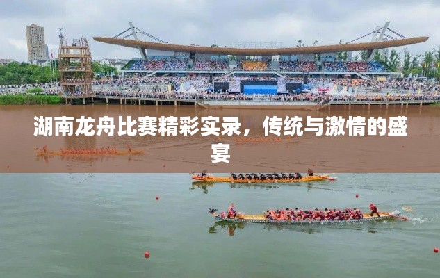 湖南龙舟比赛精彩实录,传统与激情的盛宴