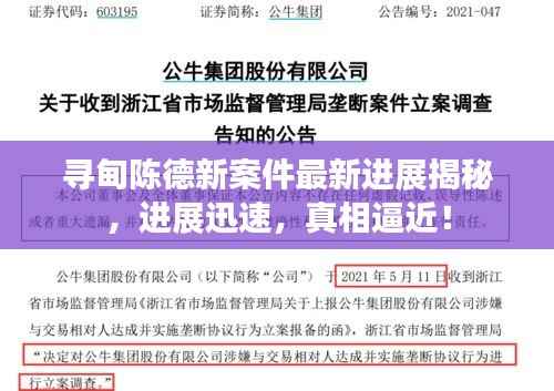 寻甸陈德新案件最新进展揭秘，进展迅速，真相逼近！