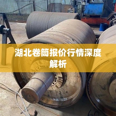 湖北卷筒报价行情深度解析