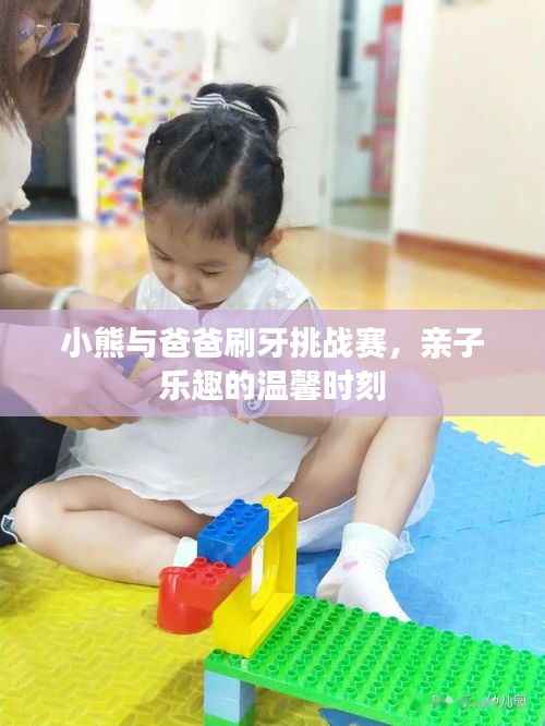 小熊与爸爸刷牙挑战赛,亲子乐趣的温馨时刻