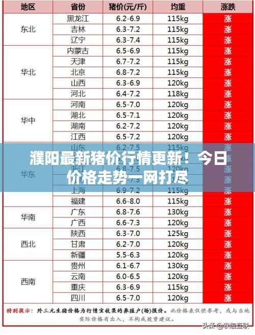 濮阳最新猪价行情更新!今日价格走势一网打尽