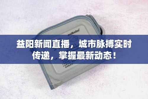 益阳新闻直播,城市脉搏实时传递,掌握最新动态!