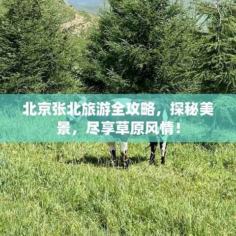 北京张北旅游全攻略,探秘美景,尽享草原风情!