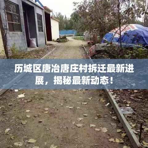 历城区唐冶唐庄村拆迁最新进展，揭秘最新动态！