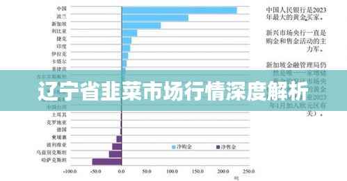 辽宁省韭菜市场行情深度解析