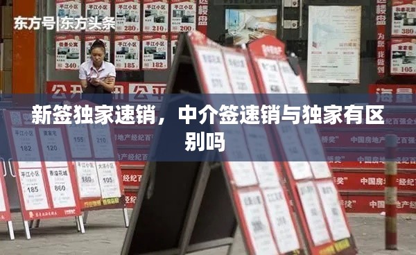 新签独家速销,中介签速销与独家有区别吗