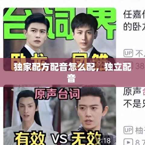 独家配方配音怎么配,独立配音