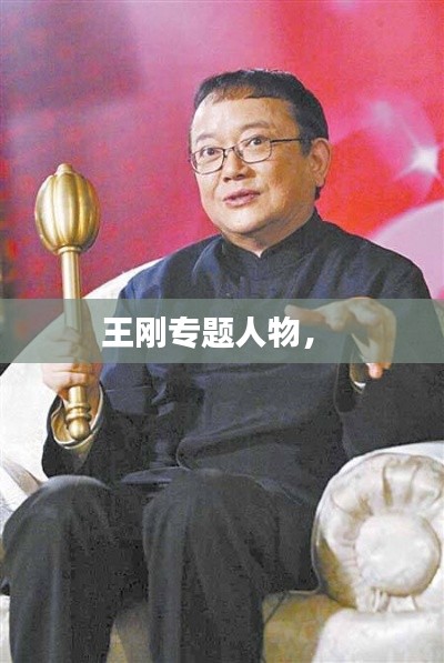 王刚专题人物,