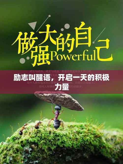 励志叫醒语,开启一天的积极力量