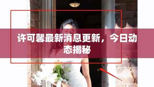 许可馨最新消息更新,今日动态揭秘