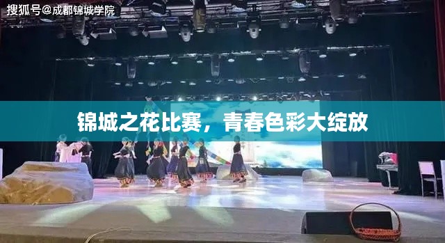 锦城之花比赛,青春色彩大绽放