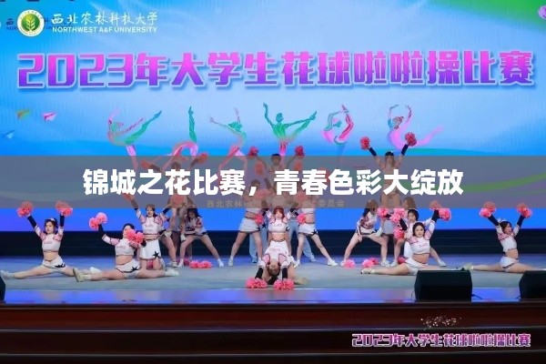 锦城之花比赛,青春色彩大绽放