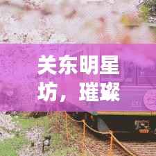 关东明星坊,璀璨星辰照亮东北文化之路